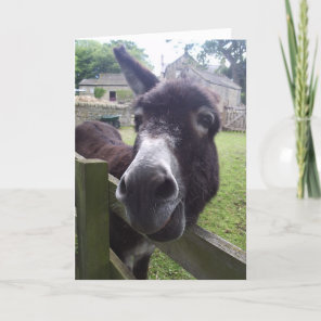 Donkey Birthday Wishes Card