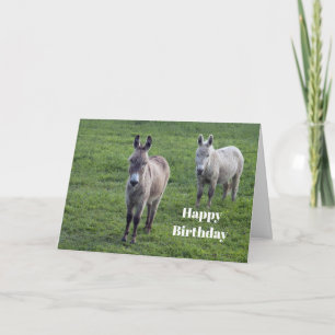 Donkey Brown Tan Animal Photo Birthday Card