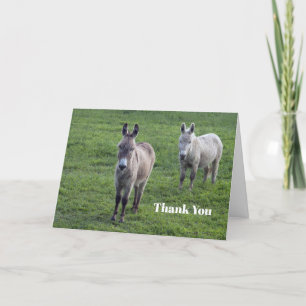 Donkey Brown Tan Animal Photo Letterpress Thank You Card