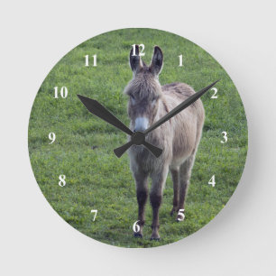 Donkey Brown Tan Animal Photo Round Clock