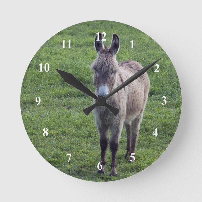 Donkey Brown Tan Animal Photo Round Clock (Front)