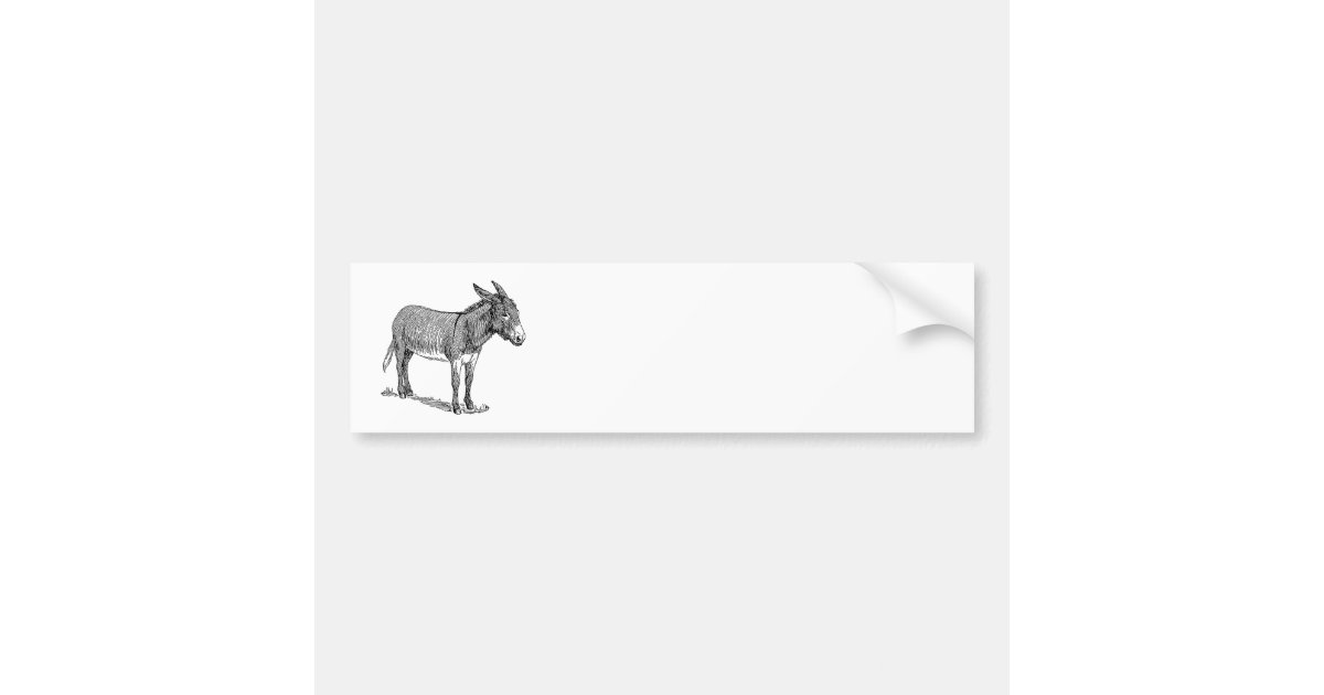 Donkey Bumper Sticker Zazzle