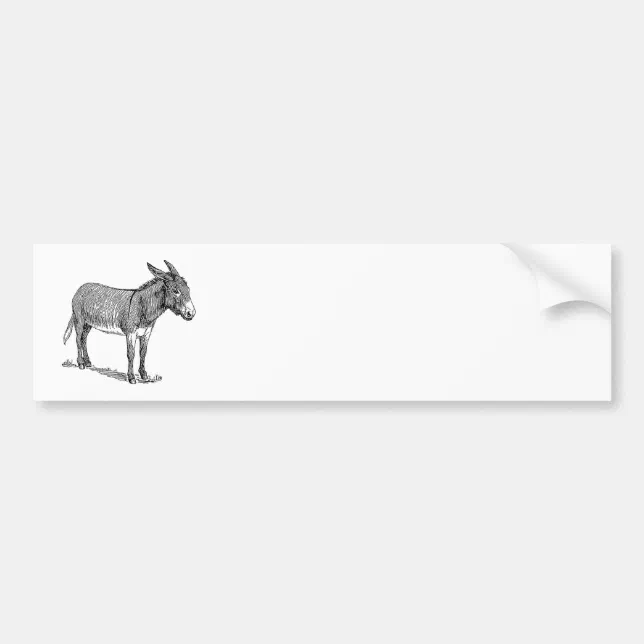 Donkey Bumper Sticker Zazzle