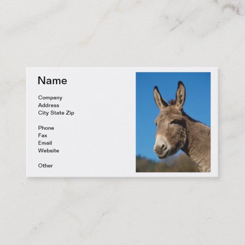 Donkey Business Card