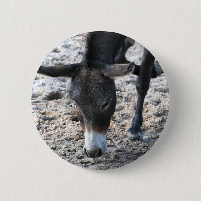 Donkey Button (Front)