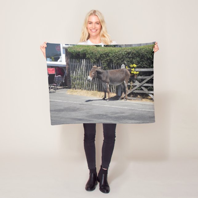 Donkey by the Gate Fleece Blanket (In Situ)