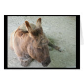 Donkey card (Front Horizontal)