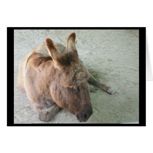 Donkey card (Front Horizontal)