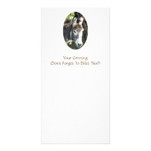 DONKEY CARD