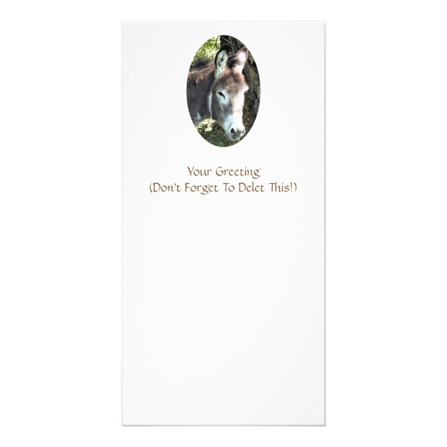 DONKEY CARD (Front)