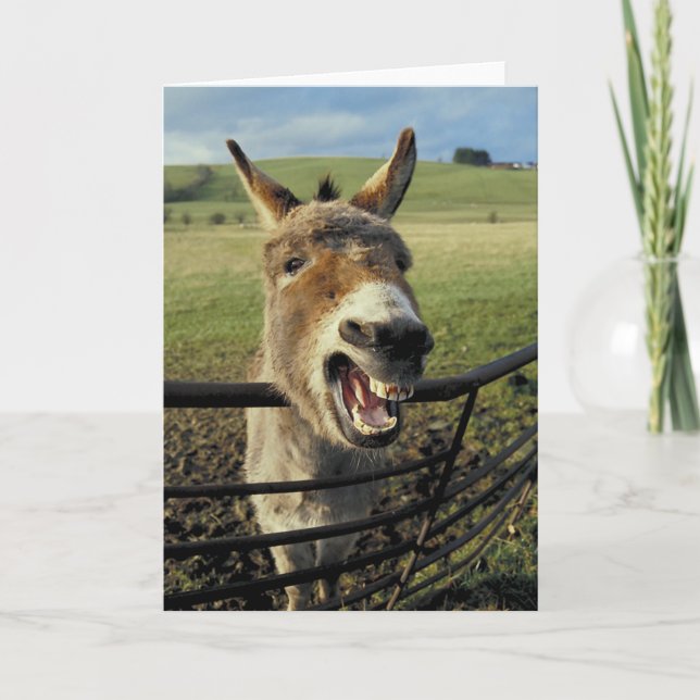 Donkey Card (Front)