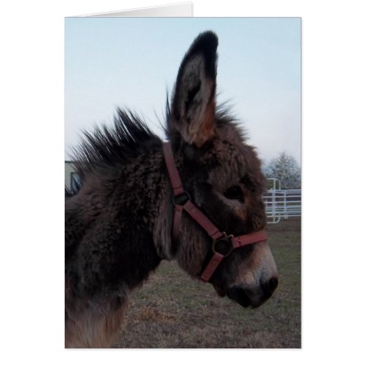 Donkey Card - Customize it! (Front)
