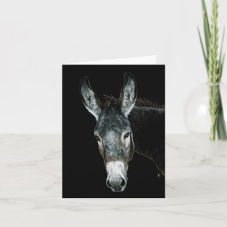 Donkey Card - "Rocky"