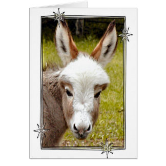 Donkey Cards