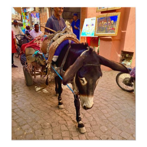 Donkey  Cart in the Medina _ Marrakech Morocco Photo Print