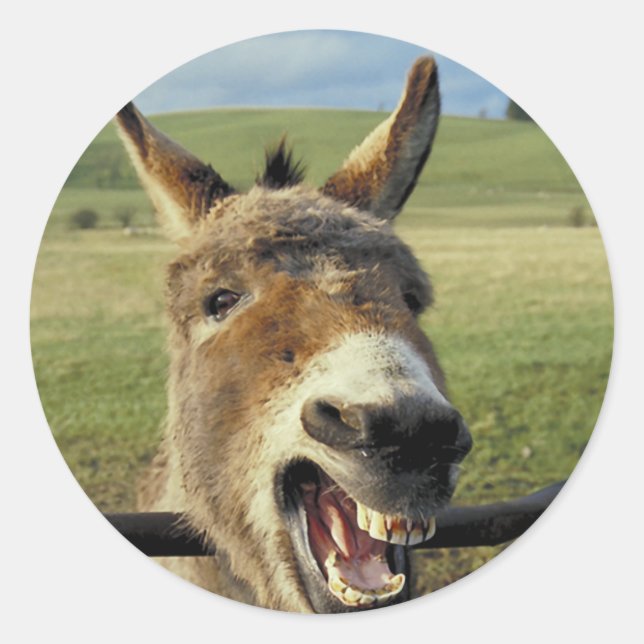 Donkey Classic Round Sticker (Front)