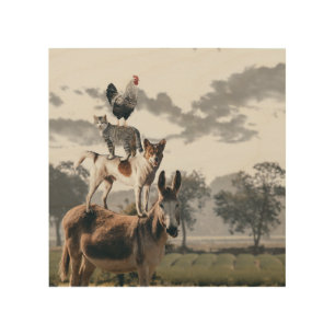 Donkey, Dog, Cat And Rooster Piles Poster