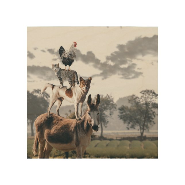 Donkey, Dog, Cat And Rooster Piles Poster (Front)