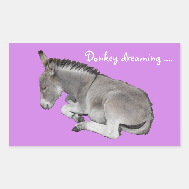 Donkey dreaming cute baby donkey foal rectangular sticker (Front)