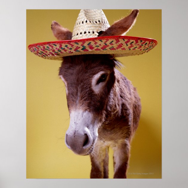 donkey with straw hat