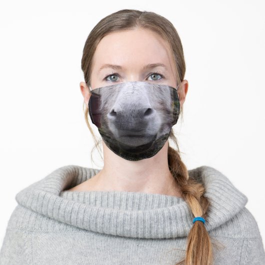 Donkey Face Mask (Worn)