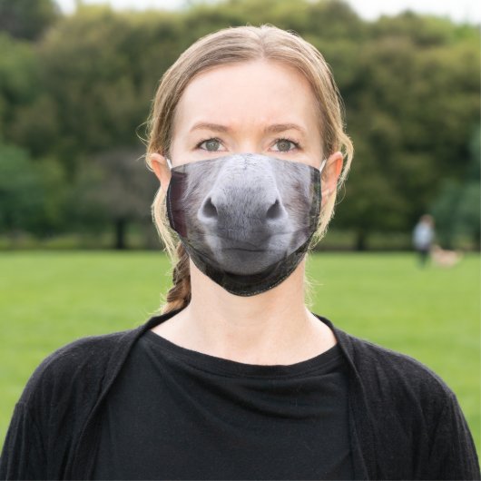 Donkey Face Mask (Outside)