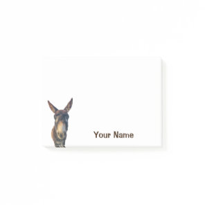 Donkey Farm Animal Notes