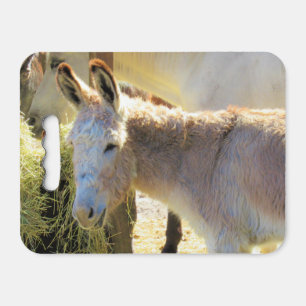 Donkey - Farm Series Kneeling Pad/ Stadium Cushion