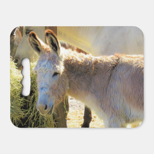 Donkey - Farm Series Kneeling Pad/ Stadium Cushion (Front Horizontal)