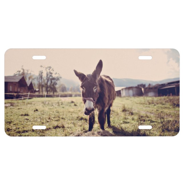 Donkey feed license plate (Front)
