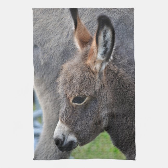 Donkey foal kitchen towel (Vertical)