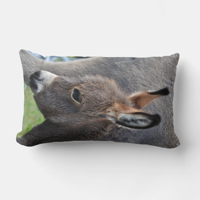 Donkey foal portrait vertical lumbar pillow (Front)