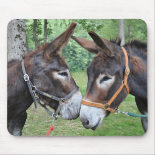 Donkey friends mouse pad