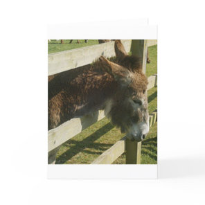 Donkey Greetings Card