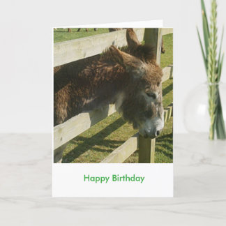 Donkey Greetings Card