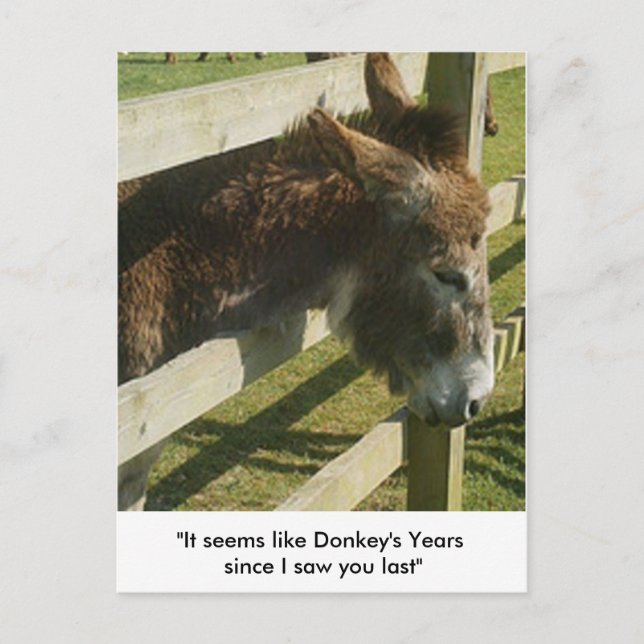 Donkey Greetings Postcards (Front)