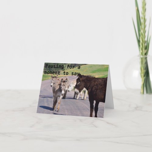 DONKEY GROUP JUST SAYSHAPPY BIRTHDAY CARD