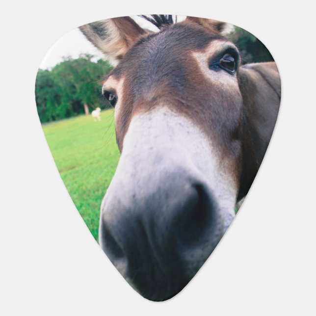 Donkey Guitar Pick (Front)