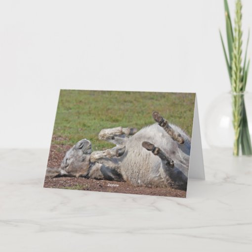 Donkey happy retirement card | Zazzle