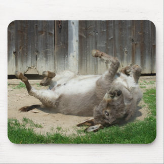Donkey Having A Bath Mouse Pad