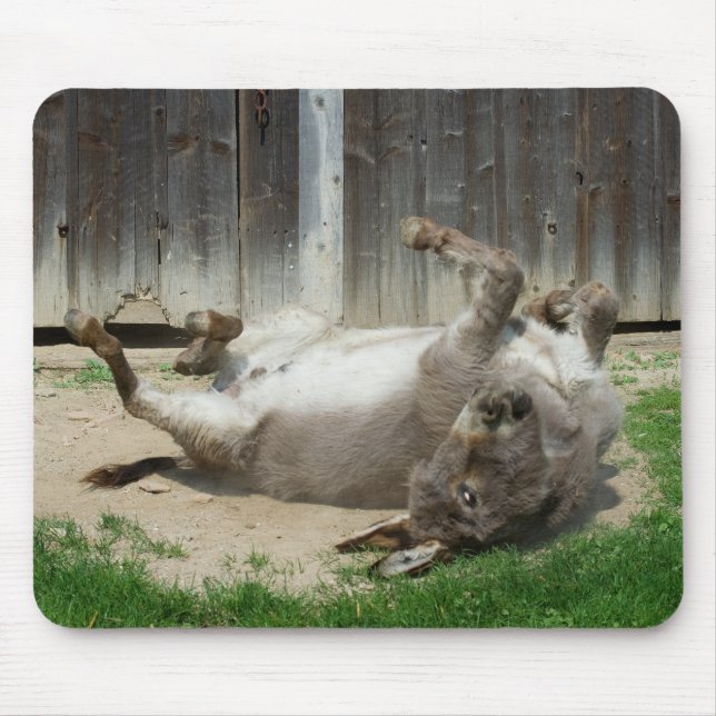 Donkey Having A Bath Mouse Pad (Front)