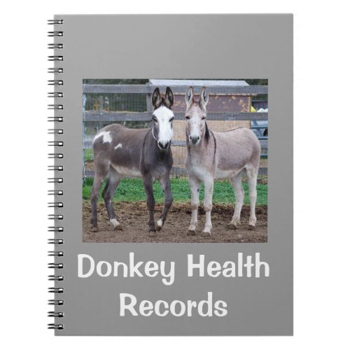 Donkey Health Records Notebook