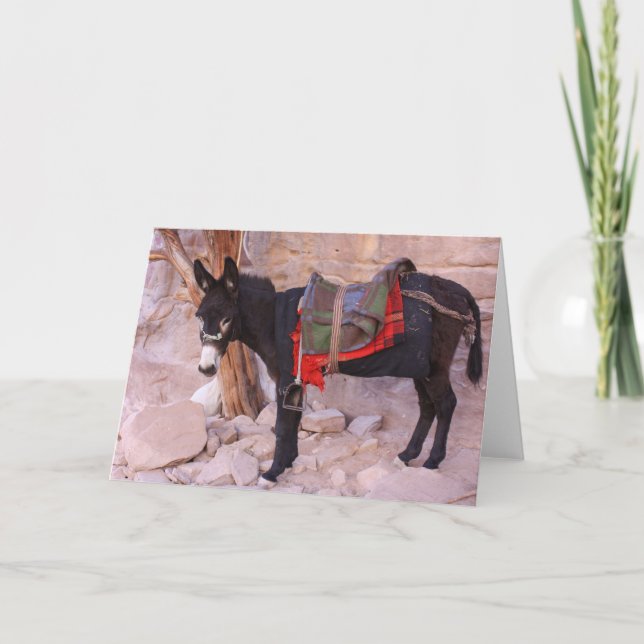 Donkey Holiday Card (Front)