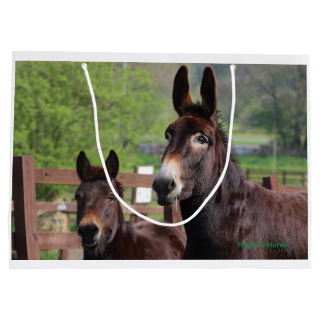 Donkey, Horse and a Mule Exclusive gift bag (Back)