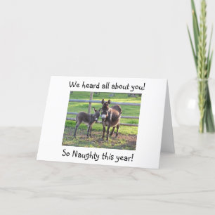 DONKEY HUMOR WHERE YOU-NAUGHTY THIS YEAR HOLIDAY CARD