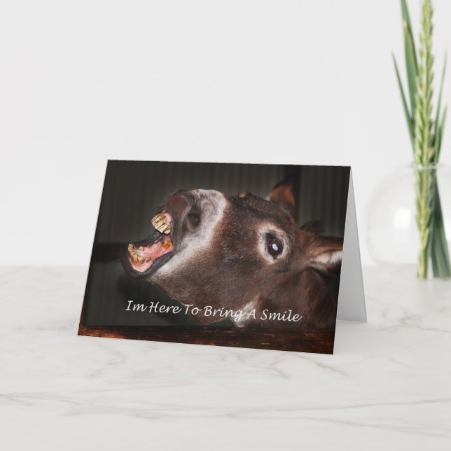 Donkey I'm here to bring a smile Card (Front)