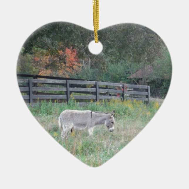Donkey in a Fall Autumn Field. Ceramic Ornament (Front)