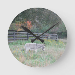 Donkey in a Fall Autumn Field. Round Clock