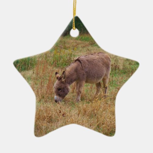 Donkey  in a Fall Field Ceramic Ornament