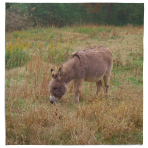 Donkey  in a Fall Field. Cloth Napkin